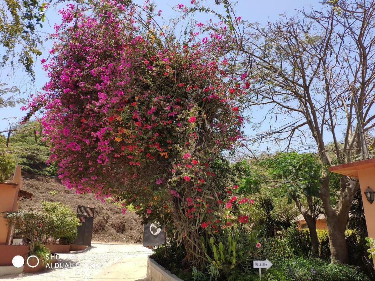 Hotel Union Amicale Corse Dakar Exteriér fotografie